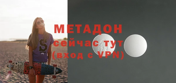 прущие грибы Беломорск