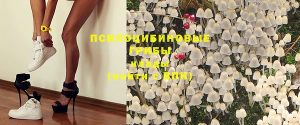 мдпв Балабаново