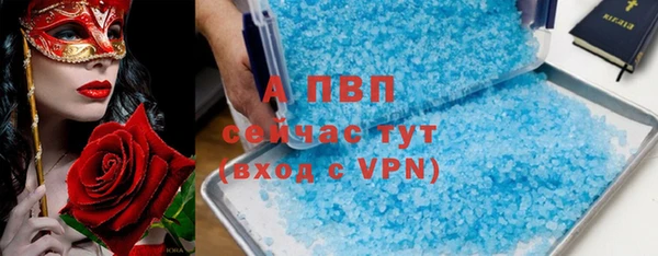 прущие грибы Беломорск