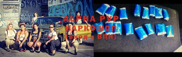 прущие грибы Беломорск