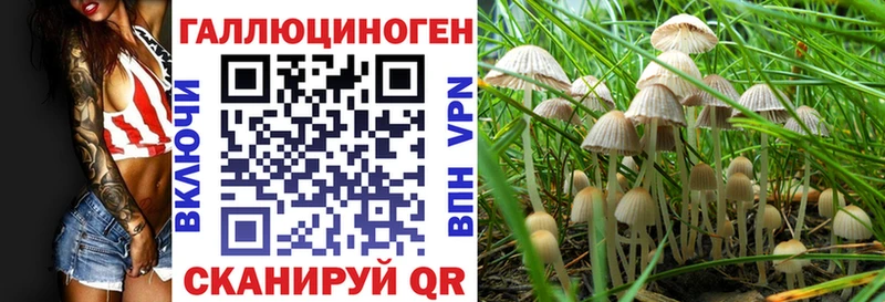 Псилоцибиновые грибы Psilocybe  продажа наркотиков  Николаевск-на-Амуре 