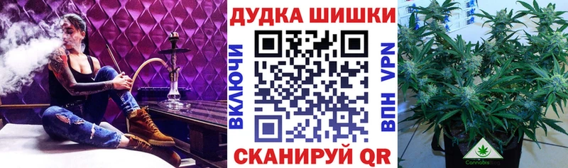 МАРИХУАНА White Widow  мориарти наркотические препараты  Николаевск-на-Амуре  цена наркотик 